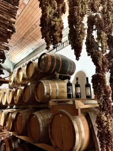 fughedivino Sara zappoli winelover 4