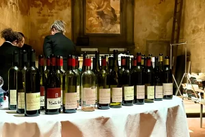 line up dei vini assaggiati